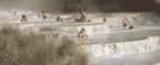 Le Cascate del Gorello a SAturnia (15kb)
